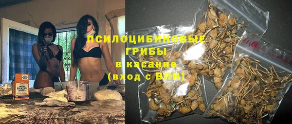 крисы Абдулино